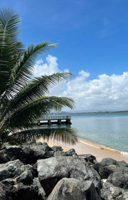 E-Book of 30 Amazing things to do in Puerto Rico: Pocket Guide to your Dream Vacation with activities from FREE to $20